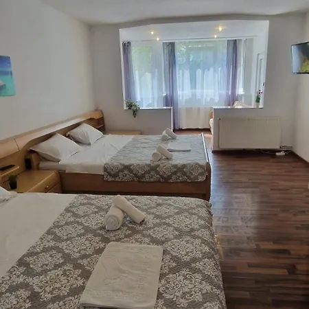 民宿 Stephanie Apartment-centru Civic *