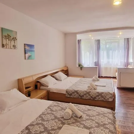 Stephanie Apartment-centru Civic 布拉索夫