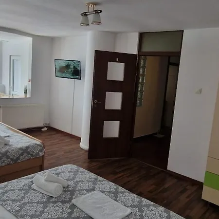民宿 Stephanie Apartment-centru Civic