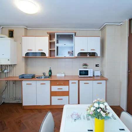 Stephanie Apartment-centru Civic 民宿 布拉索夫